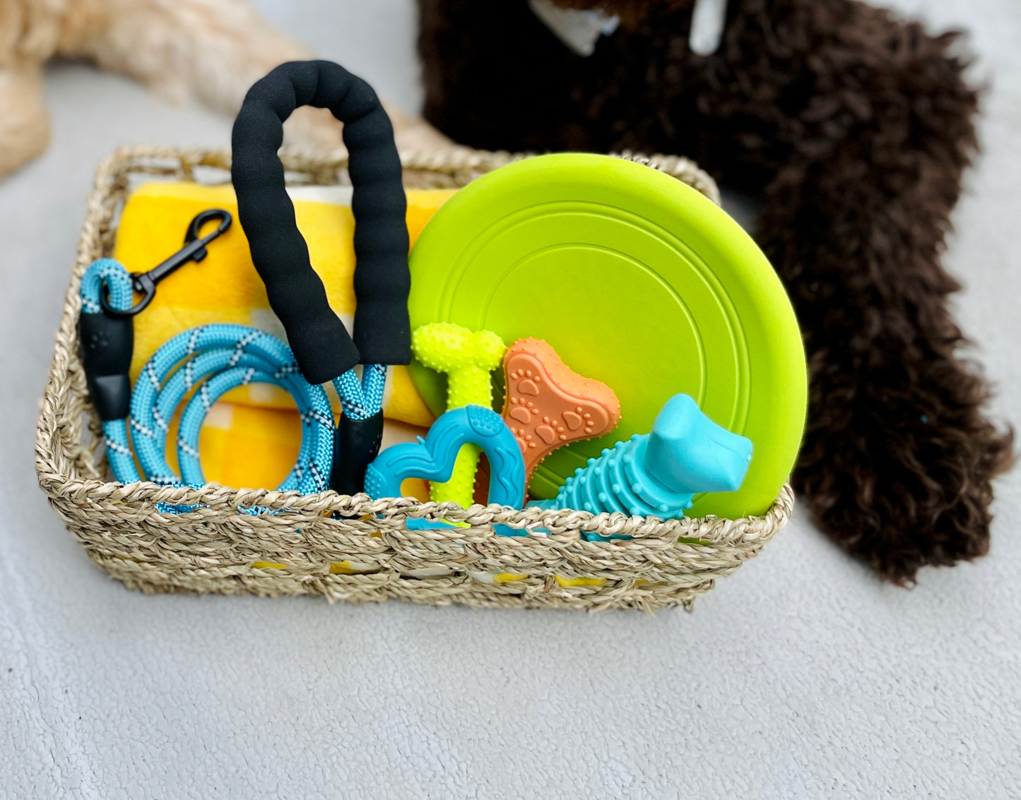 Pet Gift Basket - Lux