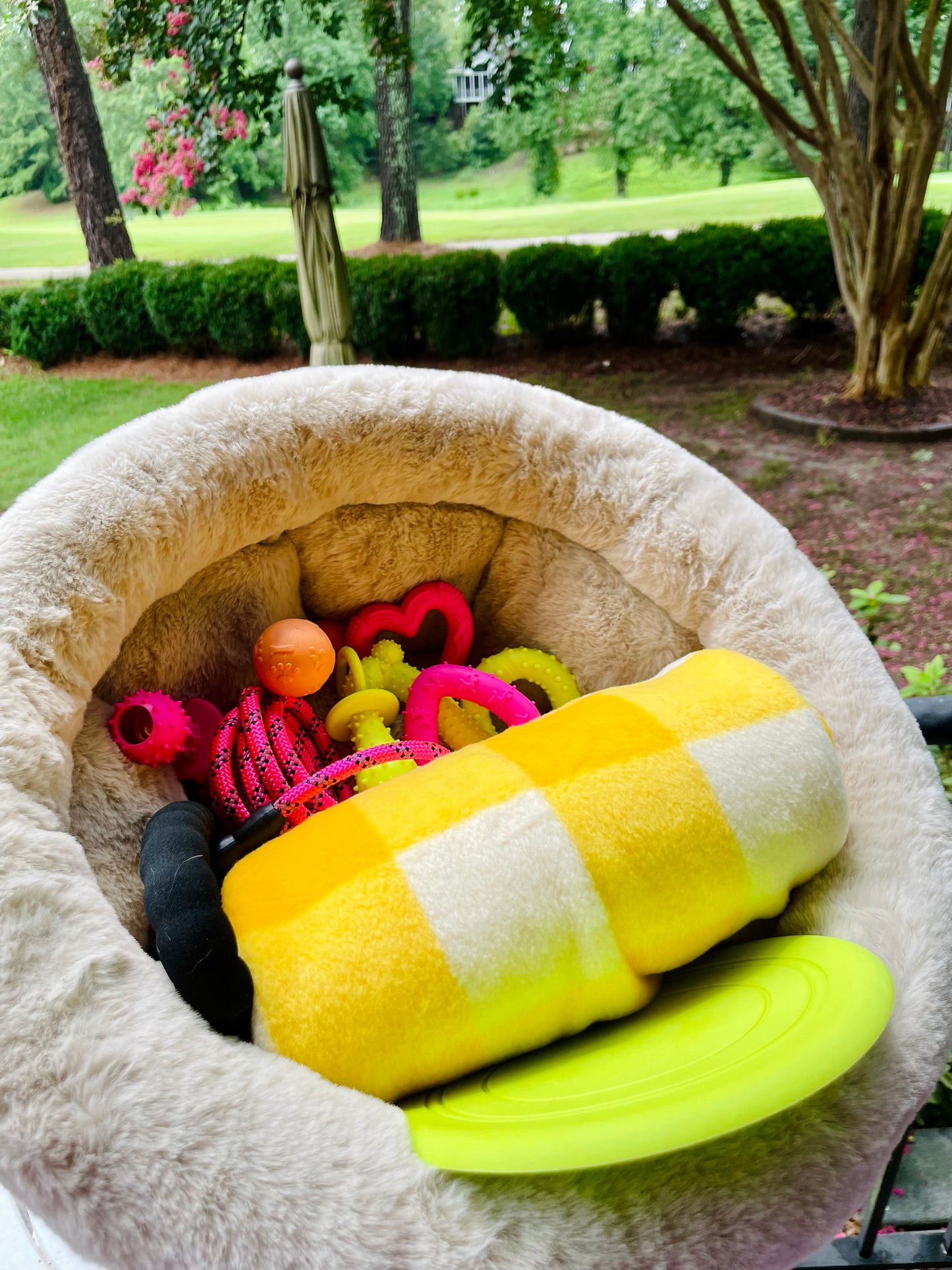 💗🐾Small Dog Gift Bed Basket💗🐾