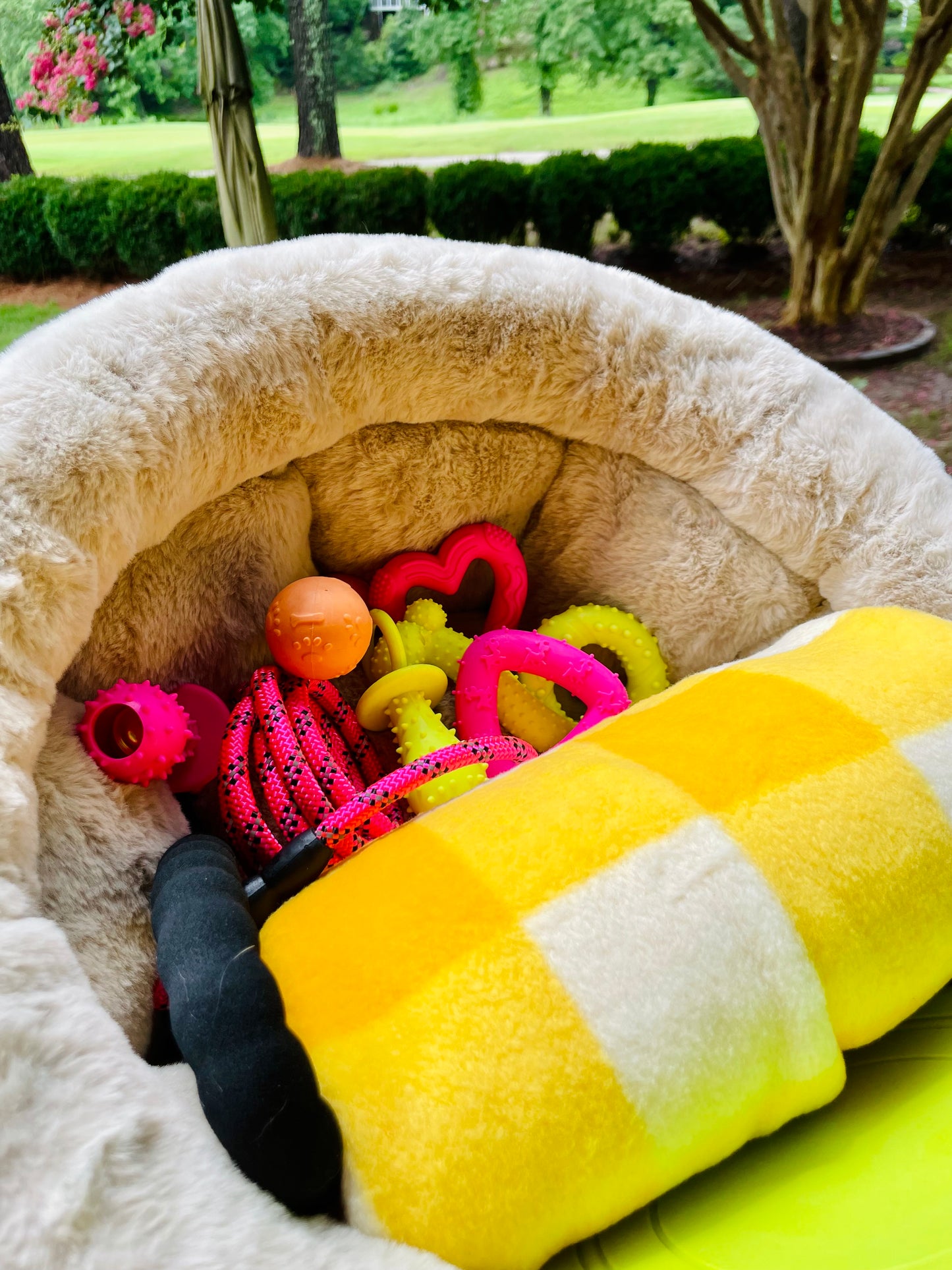 💗🐾Small Dog Gift Bed Basket💗🐾