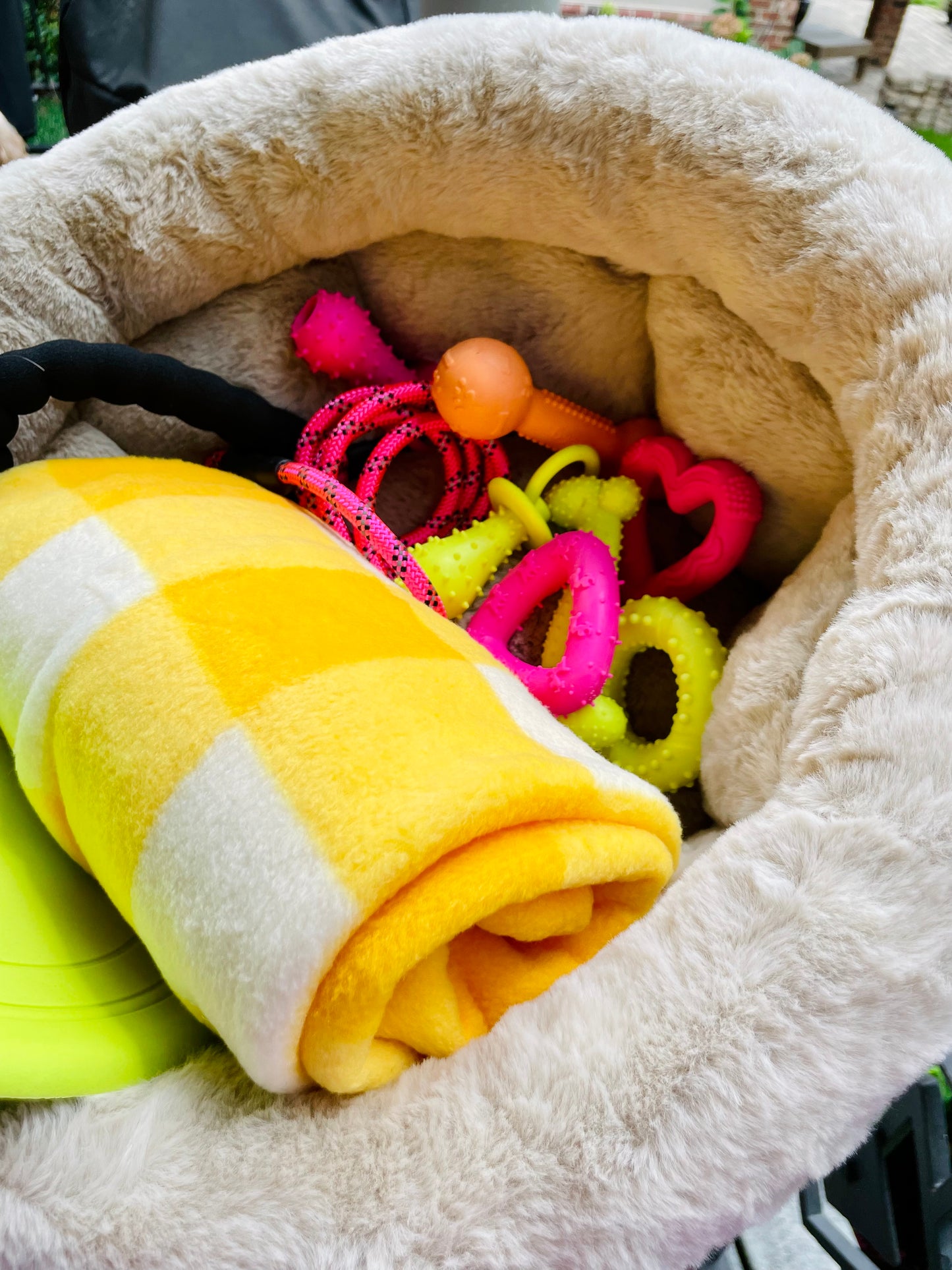 💗🐾Small Dog Gift Bed Basket💗🐾