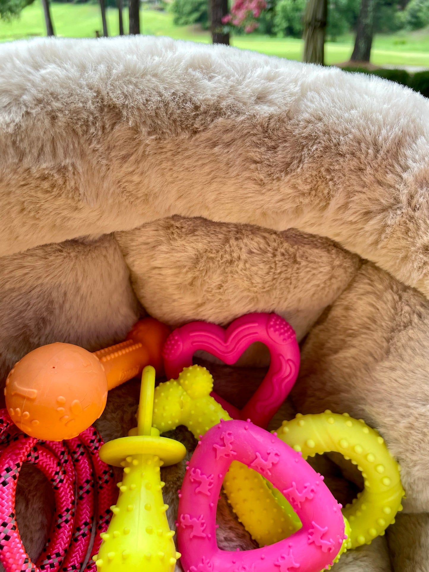 💗🐾Small Dog Gift Bed Basket💗🐾